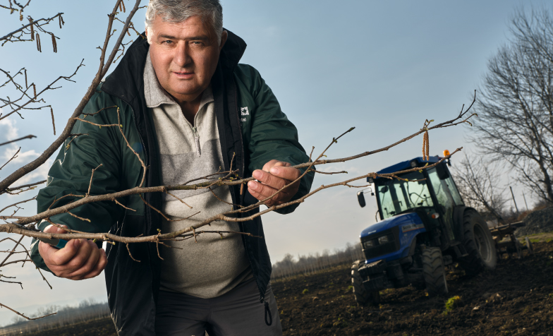 A person holding a tree branch
Description automatically generated